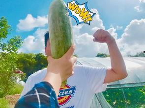 网红劲爆吃瓜图片,劲爆瞬间引爆网络！