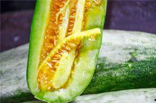 网红吃的软趴瓜,软趴瓜的独特魅力揭秘